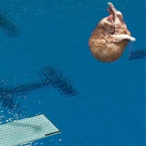 Meet your Posher, Suzanne